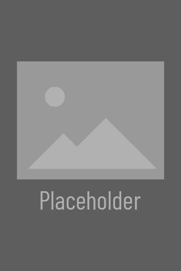 Example placeholder